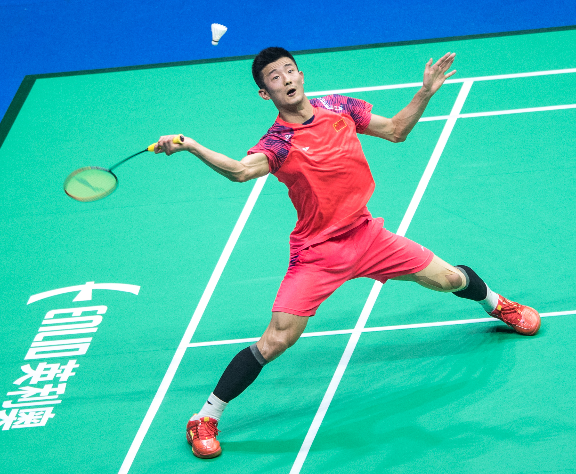 包含中国羽毛球队血洗马来西亚羽毛球队，谌龙高光表现的词条