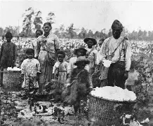 LOL直播入口-美国险胜波兰，乔瓦尼·雷纳送出助攻的简单介绍