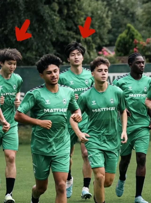 LOL英雄联盟赛事指南-年轻球员成为球队未来发展希望的简单介绍