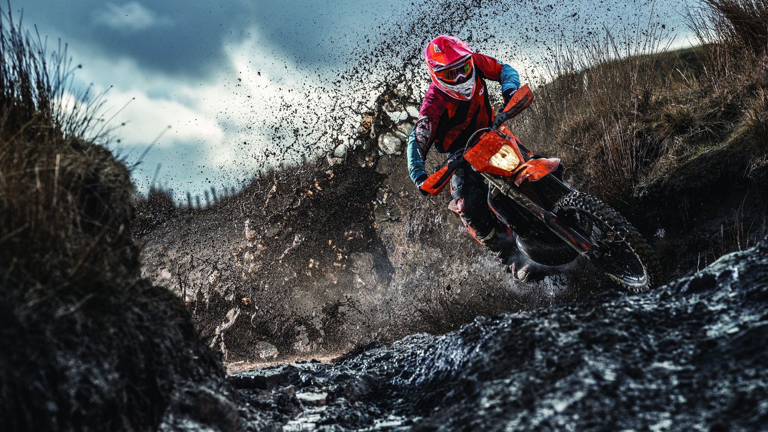 逆转与惊艳，日本队翻盘法国，陈雨菲闪耀全场